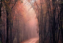 瓦力棋牌游戏-众神重塑金身！800万人口小国如何用铁血防线撼动欧陆霸权