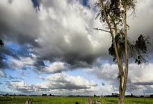 瓦力棋牌-摩洛哥瓦赫达多点开花，备战进攻火力爆发