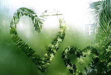 瓦力棋牌app-铁蹄与火焰：澳超联赛的荣耀战场，王座虚位以待