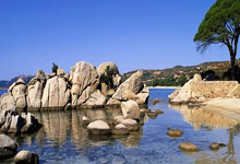 瓦力棋牌入口-河床防线稳固，力拼阿尔艾因全力拿分