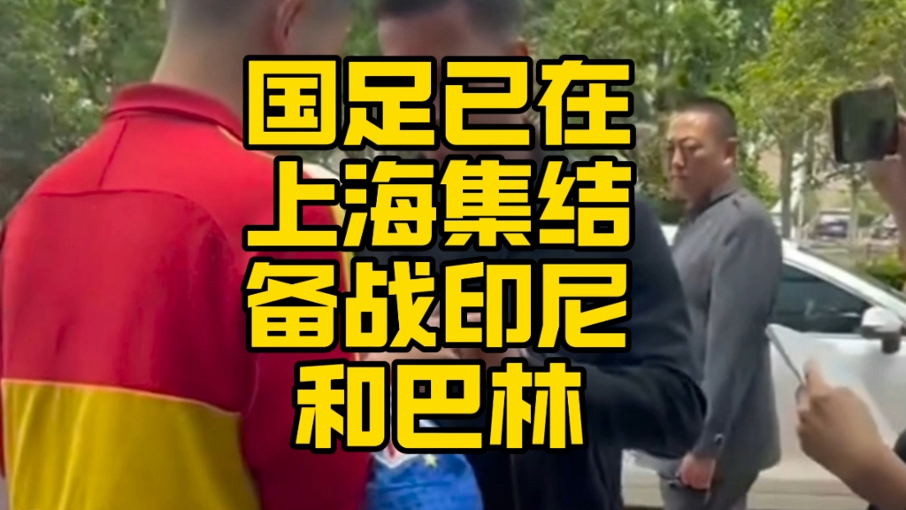 关于国家队青年集结备战，世界杯征程即将开始的信息