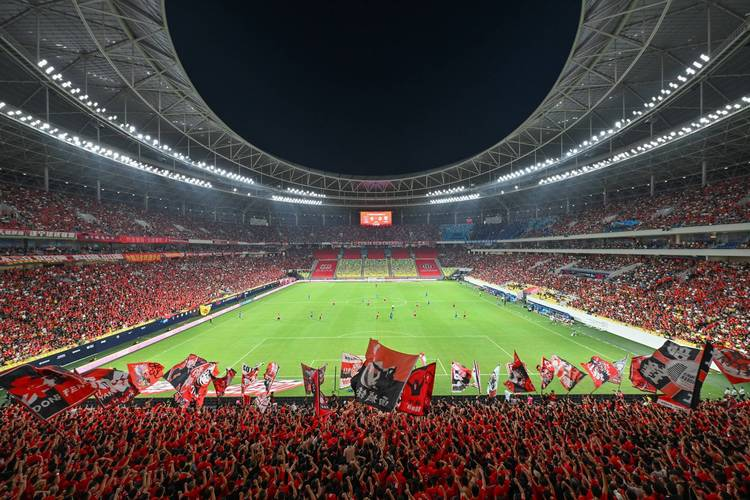 瓦力棋牌app-诺里奇主场平局，继续奋斗保级的简单介绍