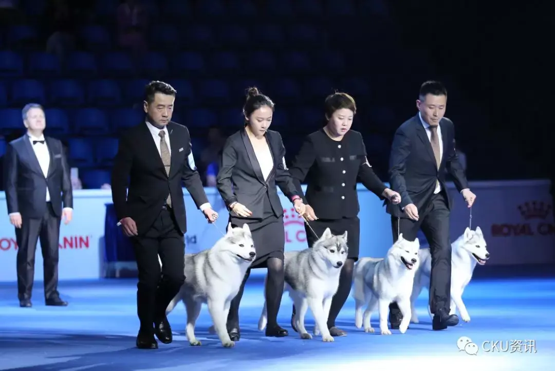 龙争虎斗！欧洲预选赛开战强队纷纷领跑