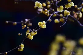 梅斯客场告捷，目标更加明确