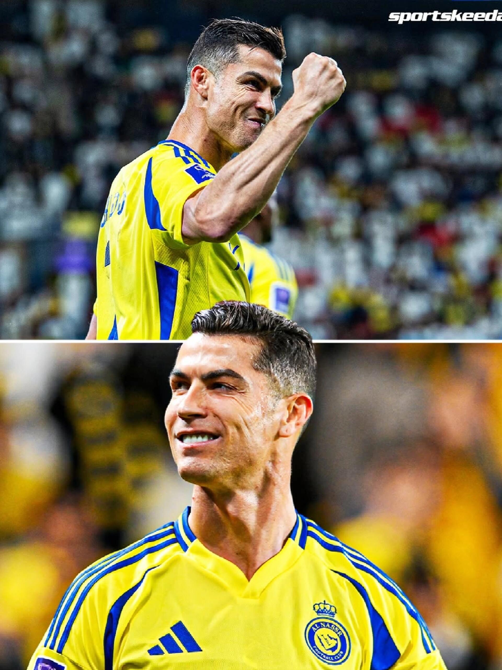 瓦力棋牌-包含葡萄牙选手迎来突破，勇往直前的词条