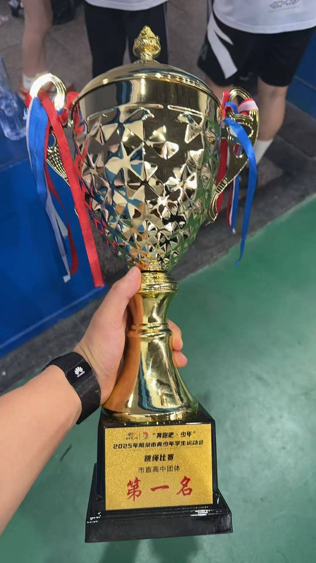 荣誉殿堂：各国运动员为荣誉拼搏